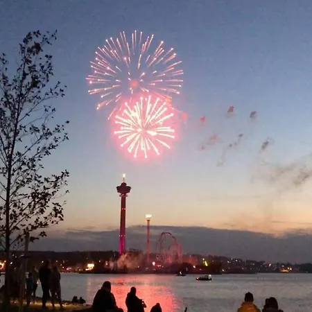 Upea Kohde Naesijaerven Rannassa