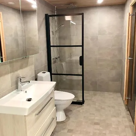 Upea Kohde Naesijaerven Rannassa Lejlighed