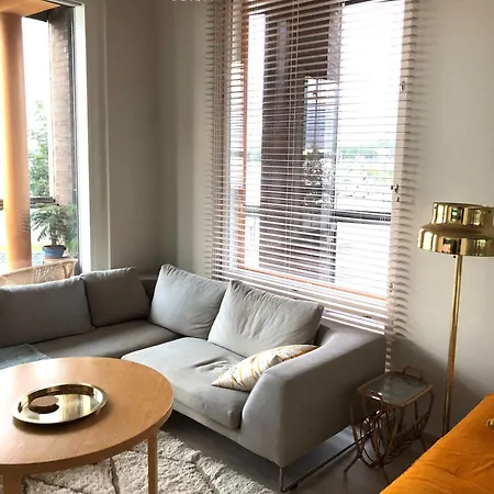 Upea Kohde Naesijaerven Rannassa Tampere